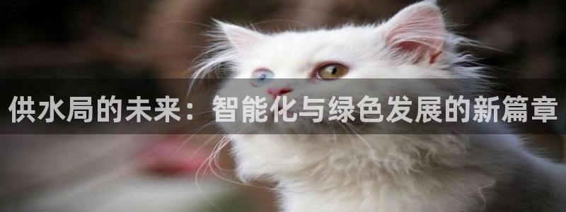 球友会兑换码