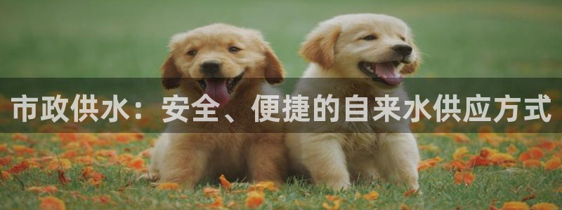 球友会台球俱乐部官网