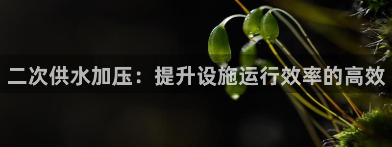 球友会体育官网