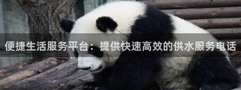 球友会app干啥的呀