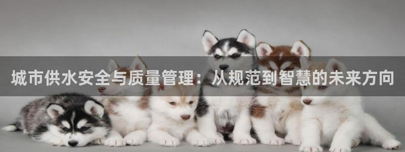 QY球友会体育官网