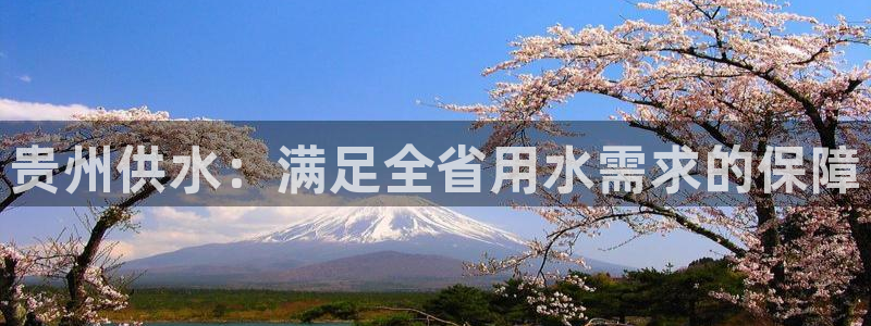 球友会体育官网